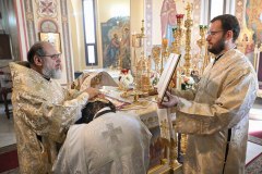 TIX_7297